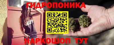 сатива Можга