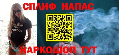 сатива Можга